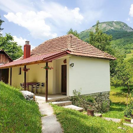 Farmstead Green Haven Mojkovac Esterno foto