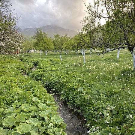 Farmstead Green Haven Mojkovac Esterno foto