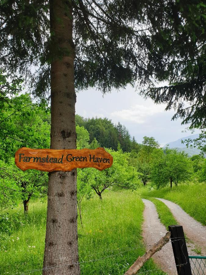 Farmstead Green Haven Mojkovac Esterno foto