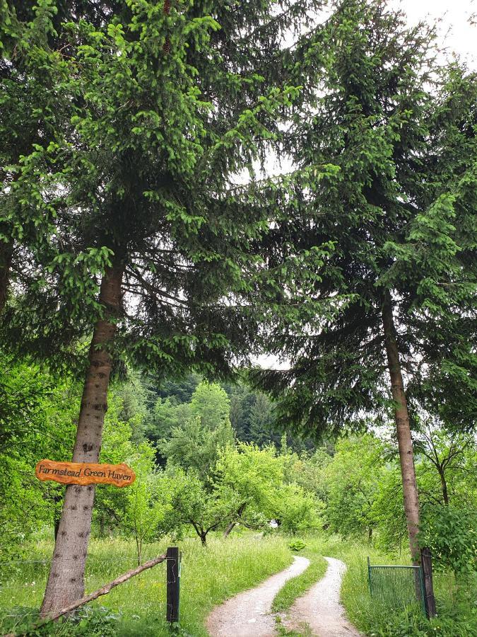 Farmstead Green Haven Mojkovac Esterno foto