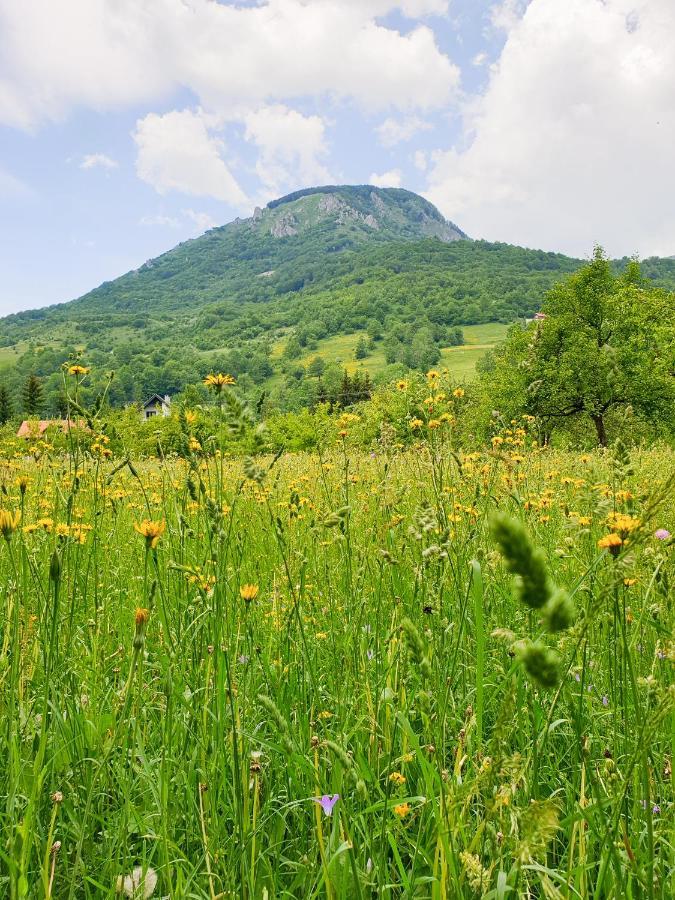 Farmstead Green Haven Mojkovac Esterno foto