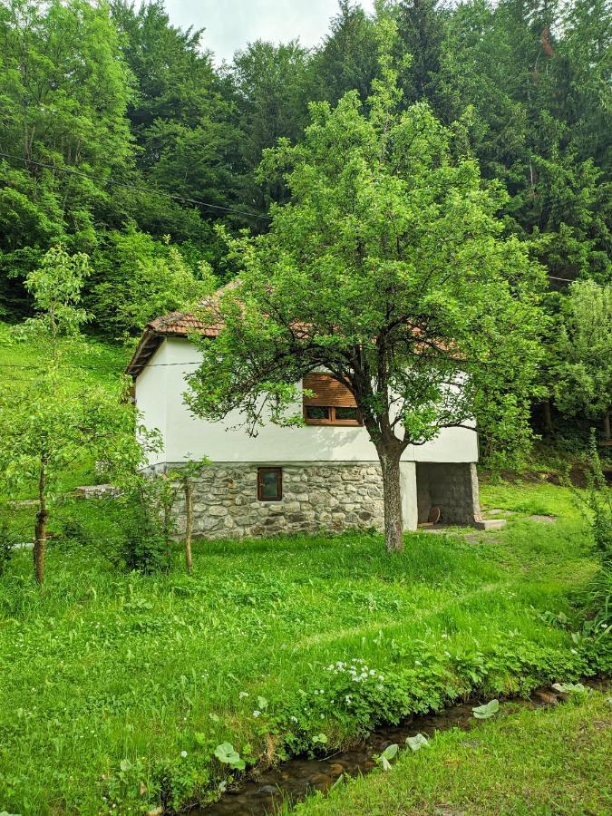 Farmstead Green Haven Mojkovac Esterno foto