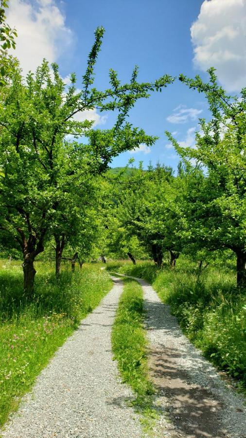 Farmstead Green Haven Mojkovac Esterno foto