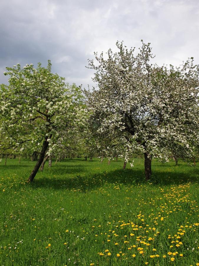 Farmstead Green Haven Mojkovac Esterno foto