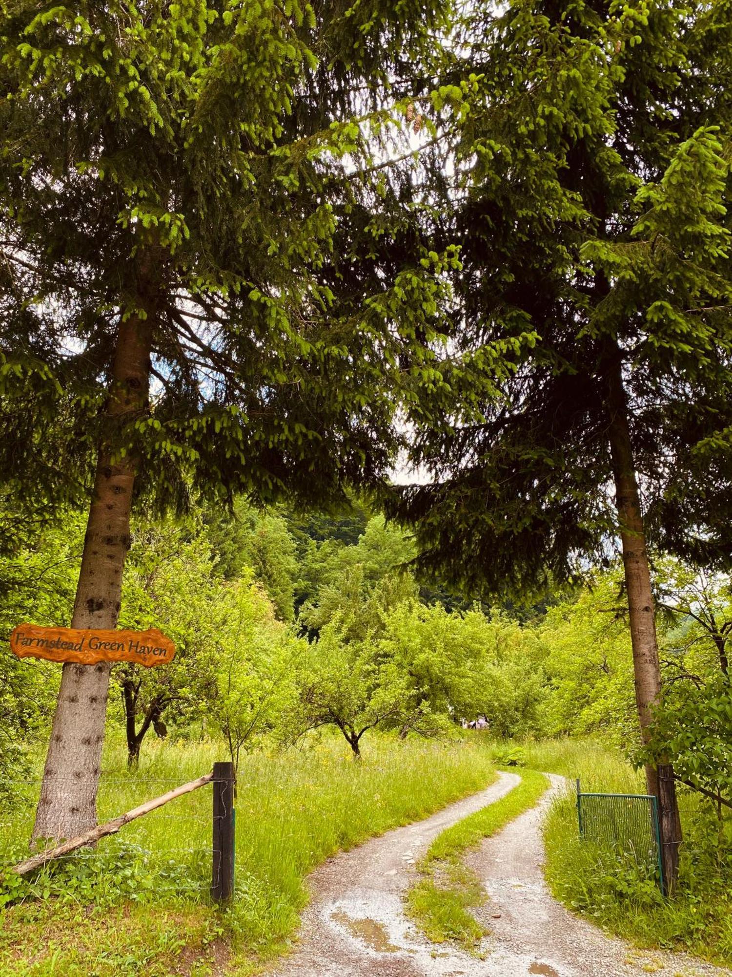 Farmstead Green Haven Mojkovac Esterno foto