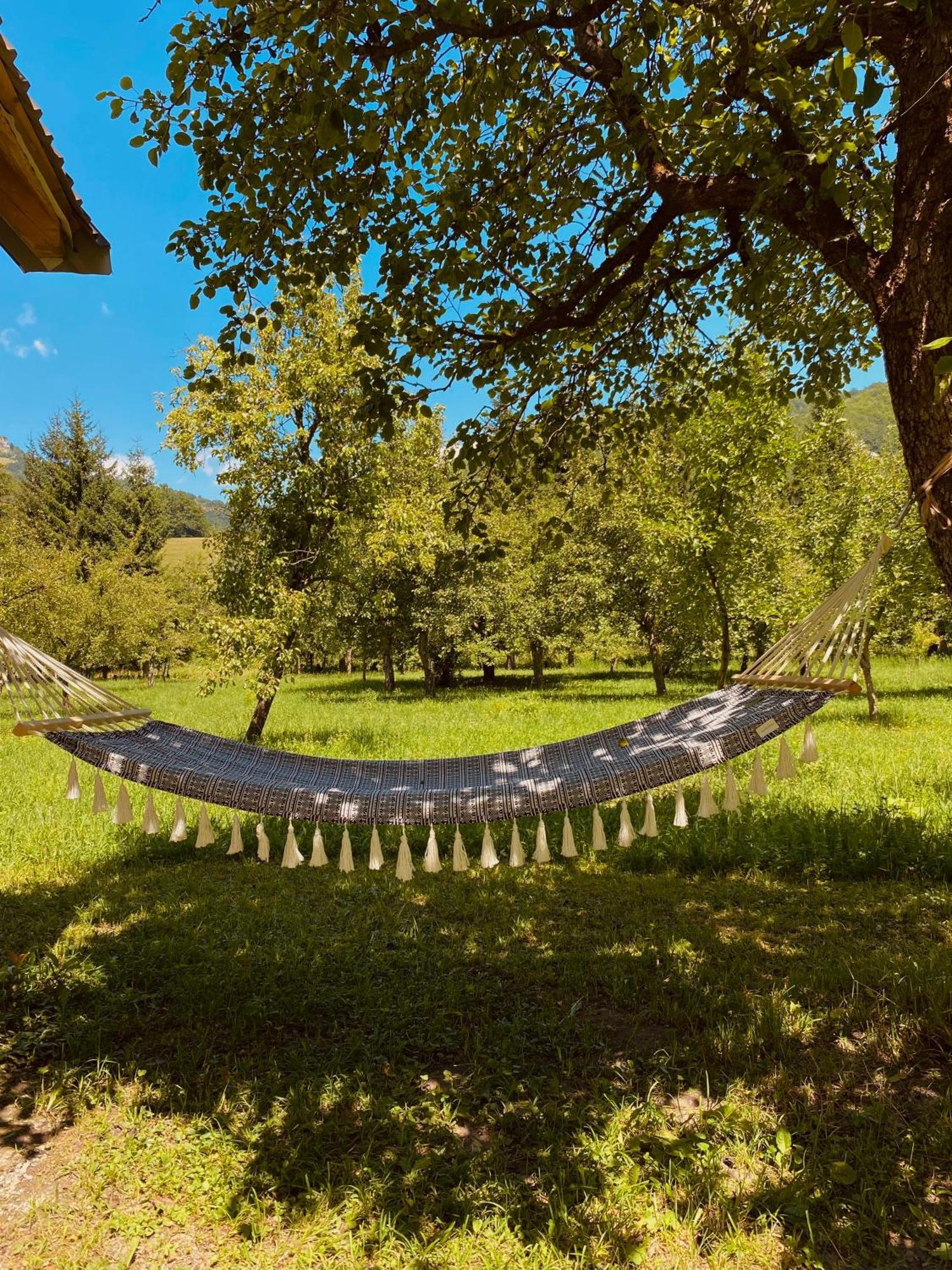 Farmstead Green Haven Mojkovac Esterno foto