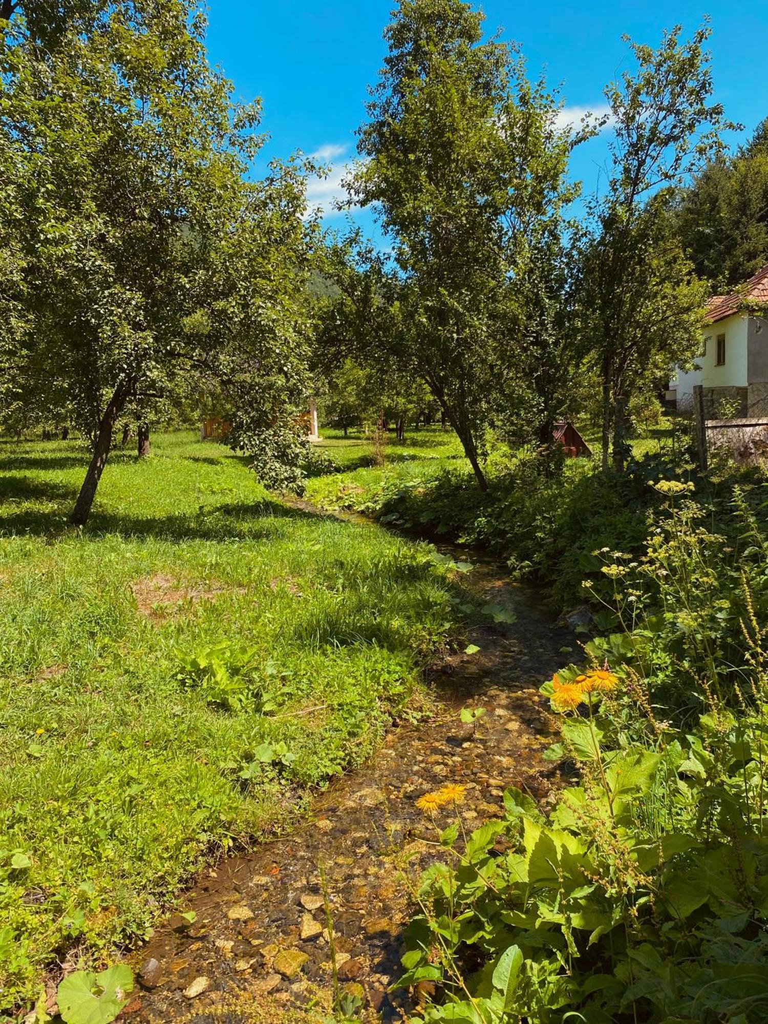 Farmstead Green Haven Mojkovac Esterno foto
